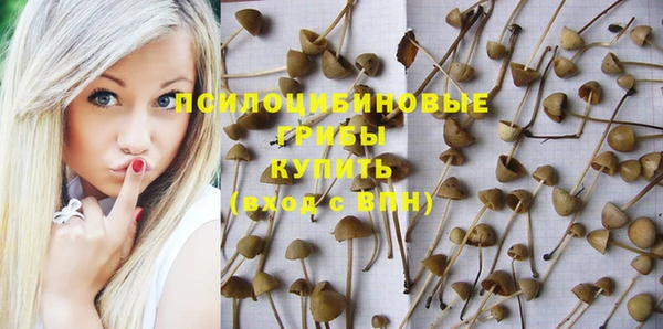 прущий лед Алексин