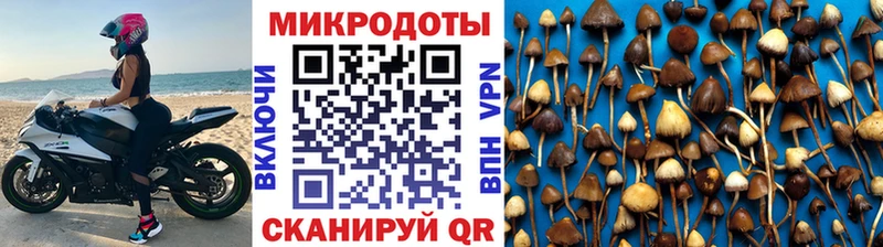 даркнет сайт  Карачев  Галлюциногенные грибы ЛСД 